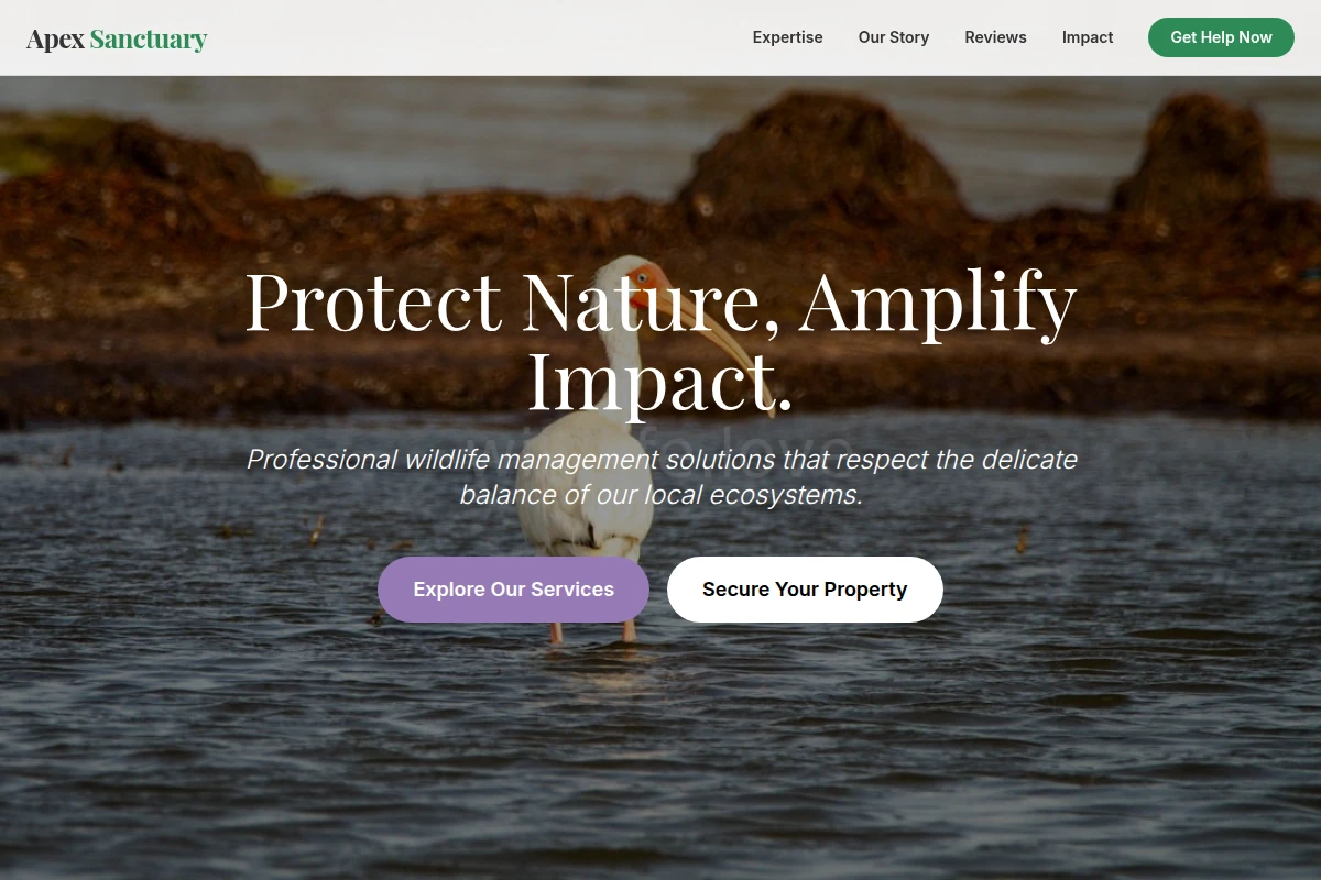 Root Wildlife Management
