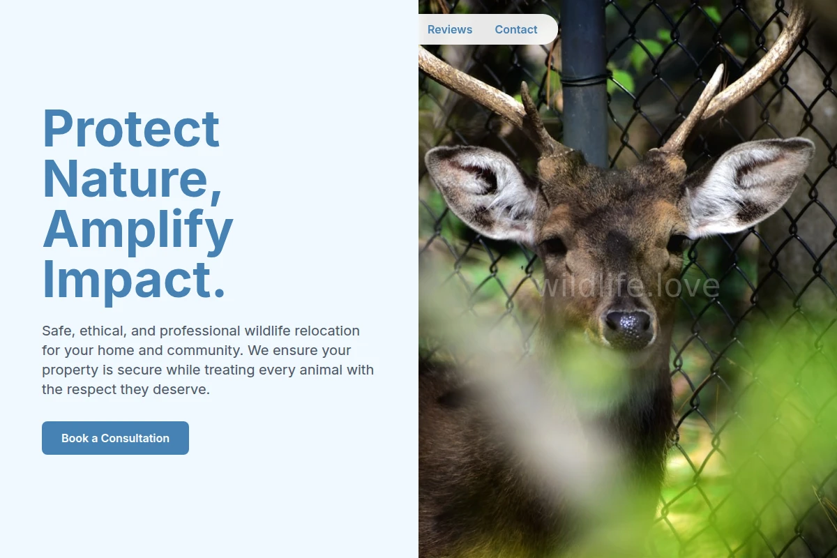 Wildwood Wildlife Relocation