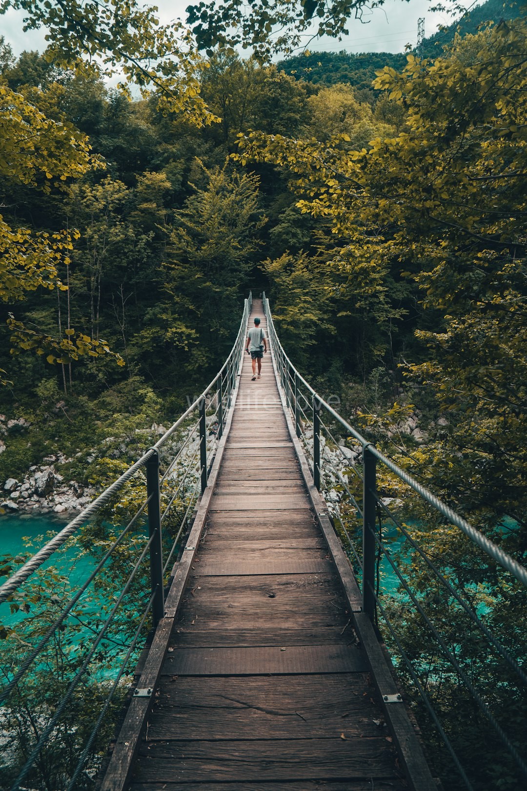 Hiking