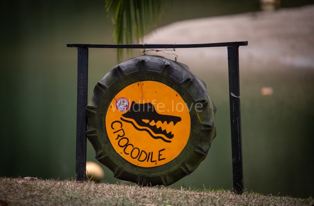 Wildlife landscape